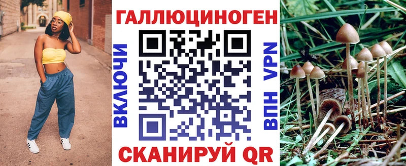 где найти Макаров Галлюциногенные грибы MAGIC MUSHROOMS